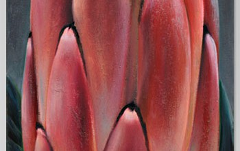 Protea Erectus