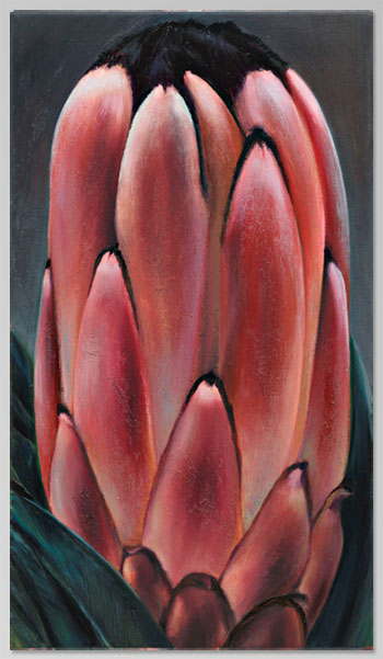 protea