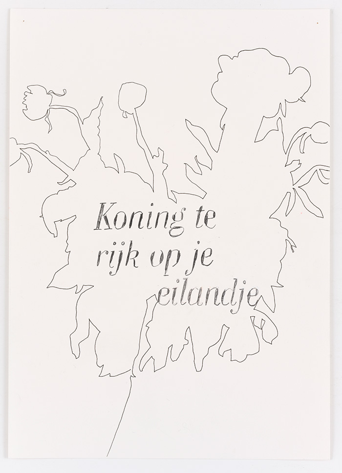 Koning te rijk op je eilandje - from the series “Beauty, and a threat of danger”