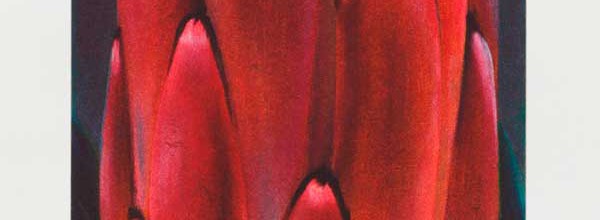 Regop detail
