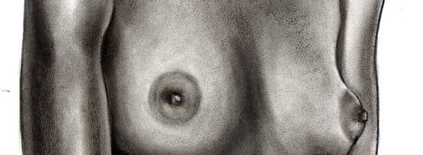 Torso