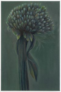 The Single Flower