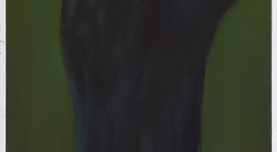 Tree Trunk