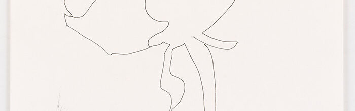 Algemeen belang weegt zwaarder – from the series “Beauty, and a threat of danger”