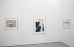 William N. Copley, Emma Talbot, Ina van Zyl (g)