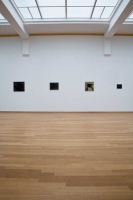 Schaamstukken / Shame Pieces (s) 