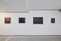 Stressed Spaces  (g)